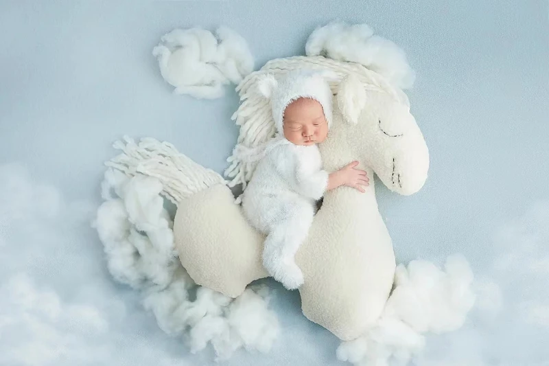 Puntelli per la fotografia appena nati che posano gli accessori per il tiro del bambino del cuscino della farfalla dell'ala