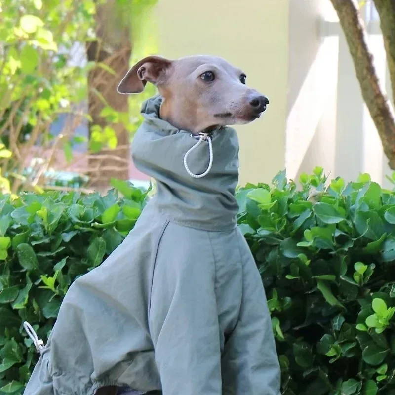 ZHAYA  ZHAYA   Greyhound Raincoat Autumn and Winter Outdoor Pet Jacket Windproof and Rainproof Dog Clothes
