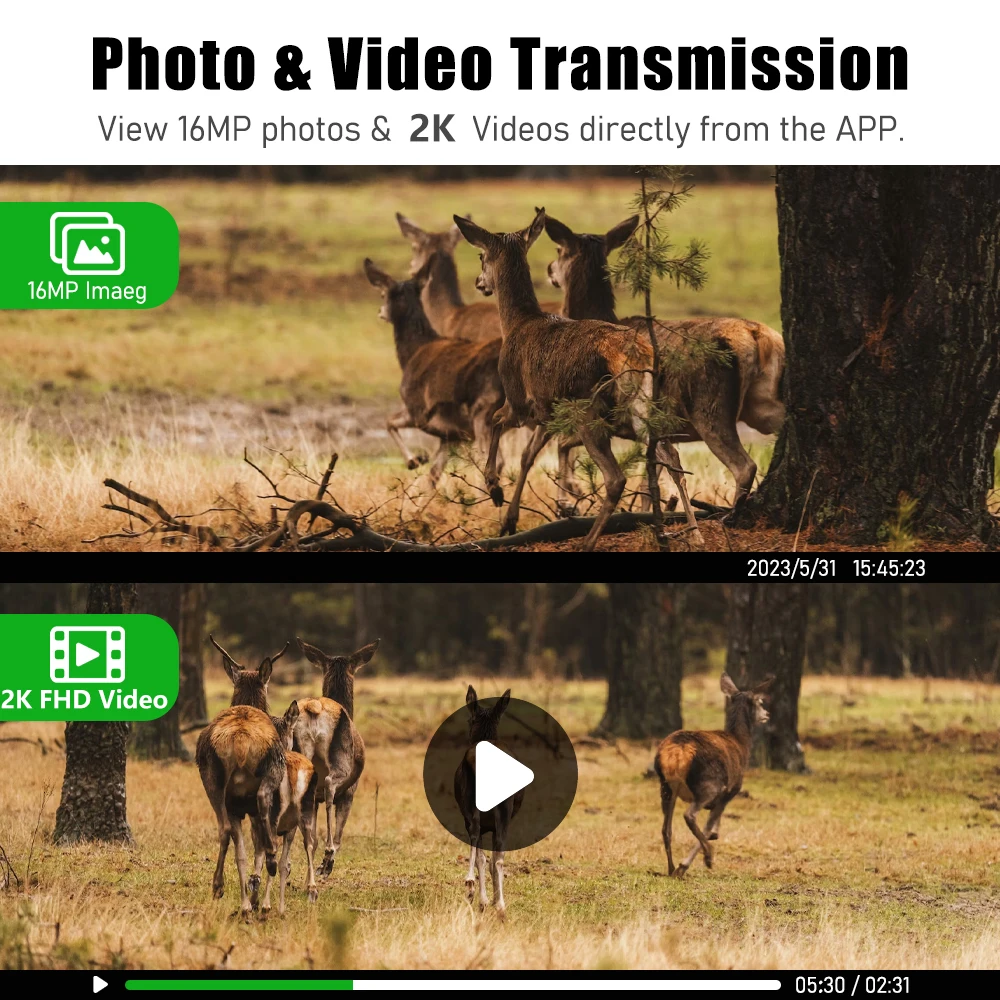 4G Sim Solar Trail Game 940nm Infrared PIR Detect Waterproof Wildlife Hunting Camera 2K HD for Home Security Wildlife Monitoring image 5