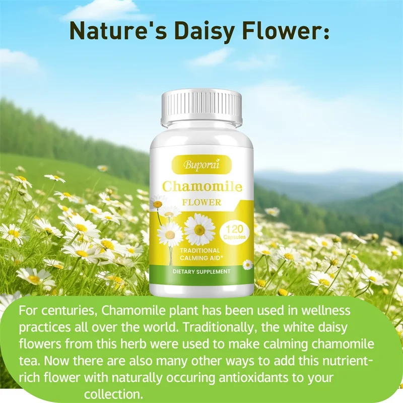 Chamomile Flower - Relieve Anxiety and Stress, Improve Fatigue, Calm Down, Relax, Sleep Support