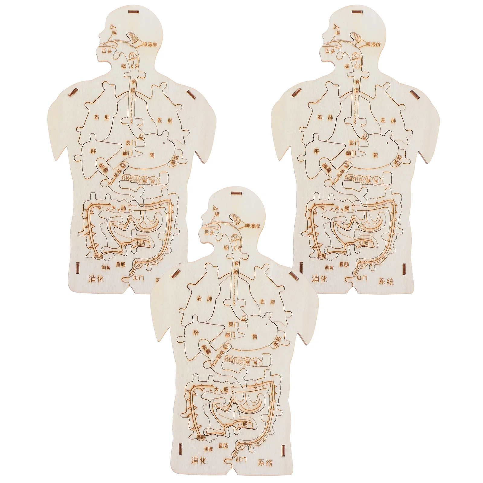 

3 шт. деревянная головоломка человеческого тела, анатомическая система, дизайн, головоломка «Мое тело», развивающий детский комплект Монтессори для малышей