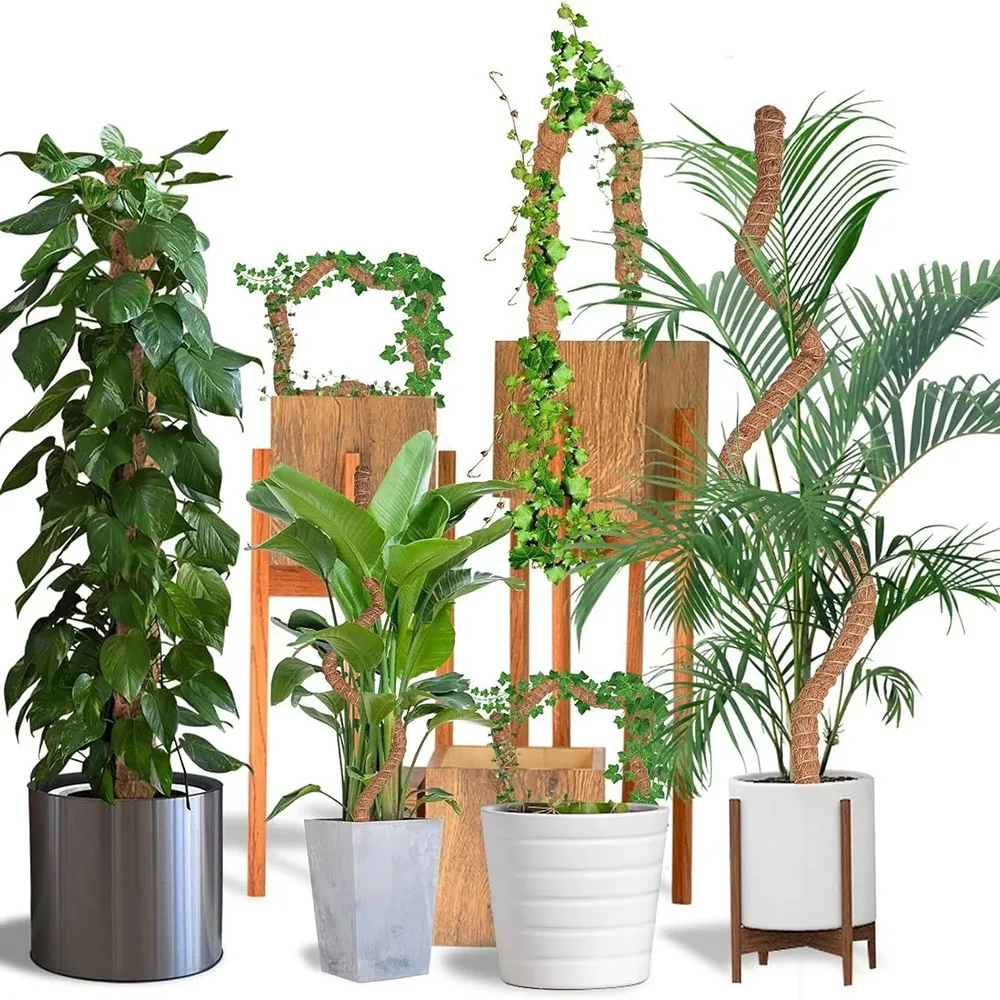 Varilla de Soporte para Plantas Trepadoras, Varilla de Coco para Plantas en Maceta, Varilla de Musgo para Plantas Trepadoras