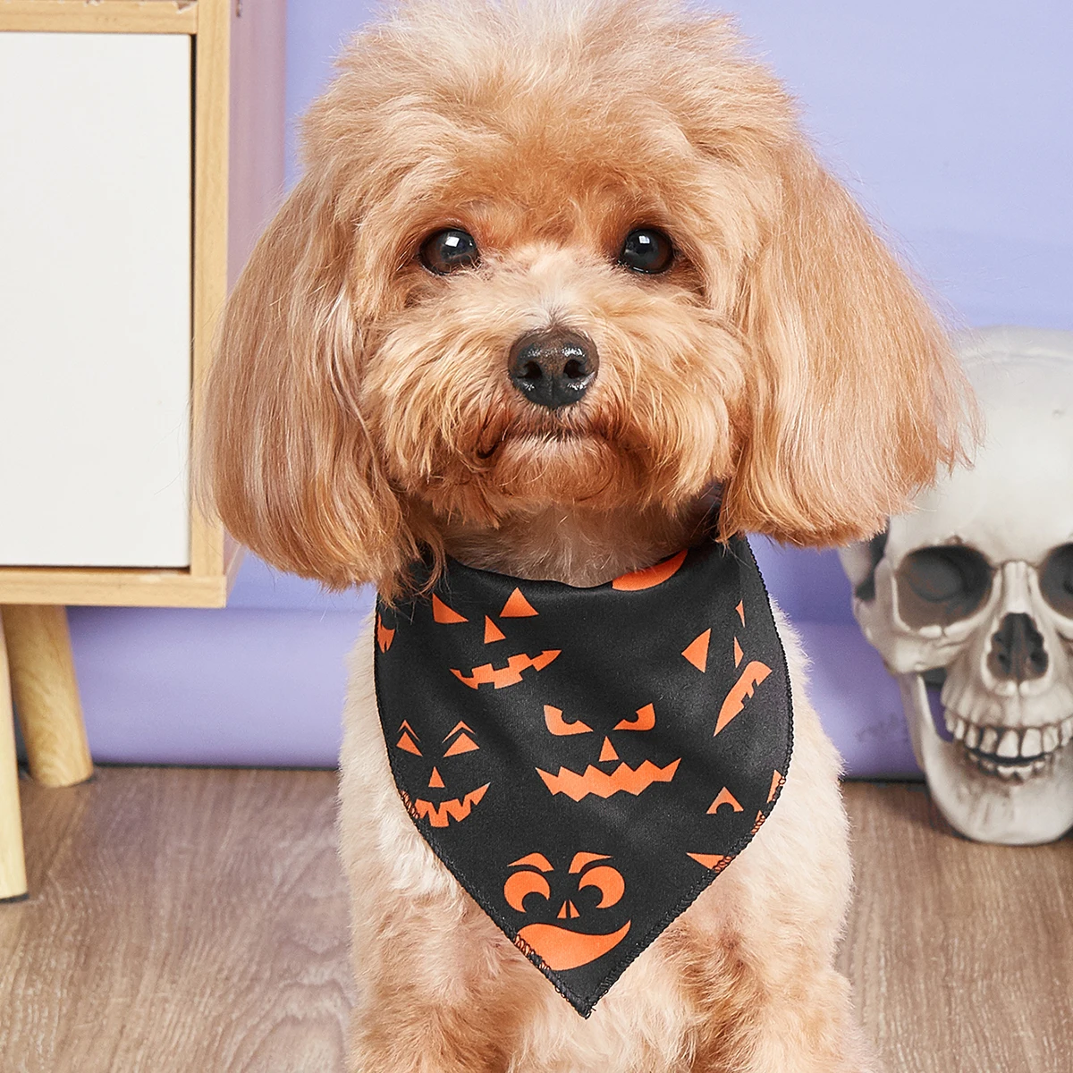 Thumbnail 4 - #39 Best Dog Bandanas to Buy In 2026