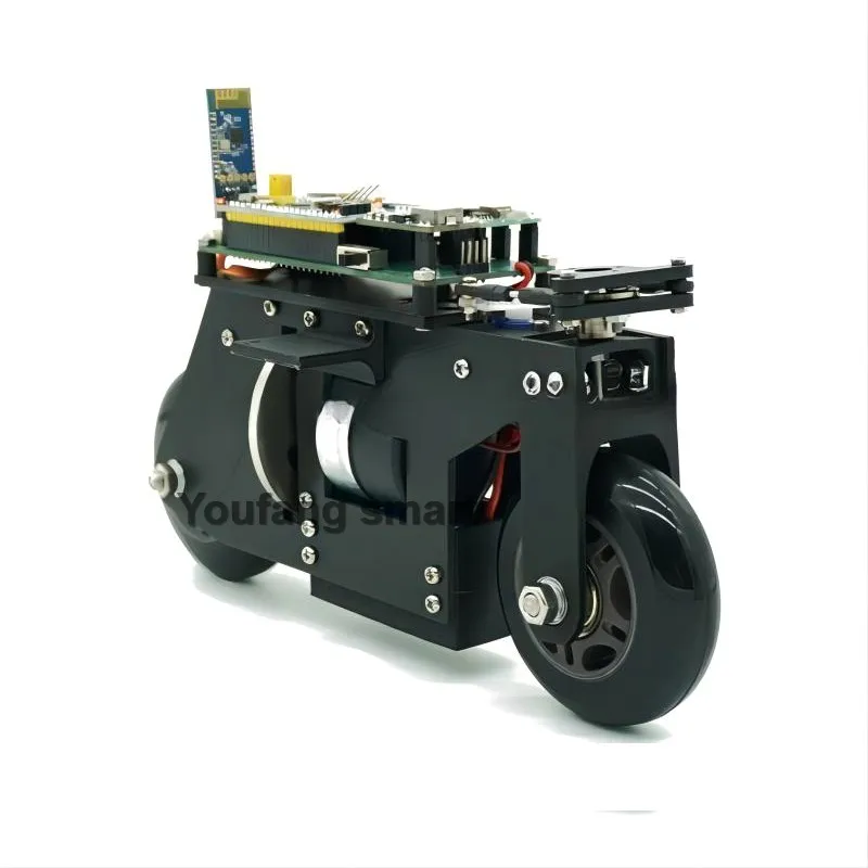 RC Serbatoio Stampa 3D Bici Cubli Balance Moto APP Controllo 2WD Auto robotica per STM32 Kit robot programmabile Progetto auto robot
