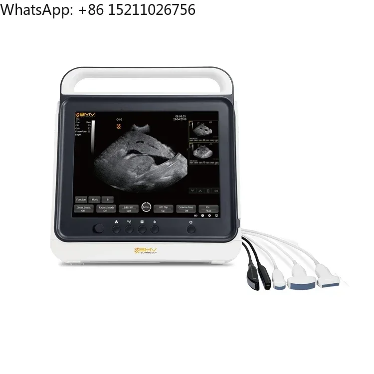 Laptop B/W Ultrasound Color Doppler Ultrasound Portable Veterinary Ultrasound With Cheap Price