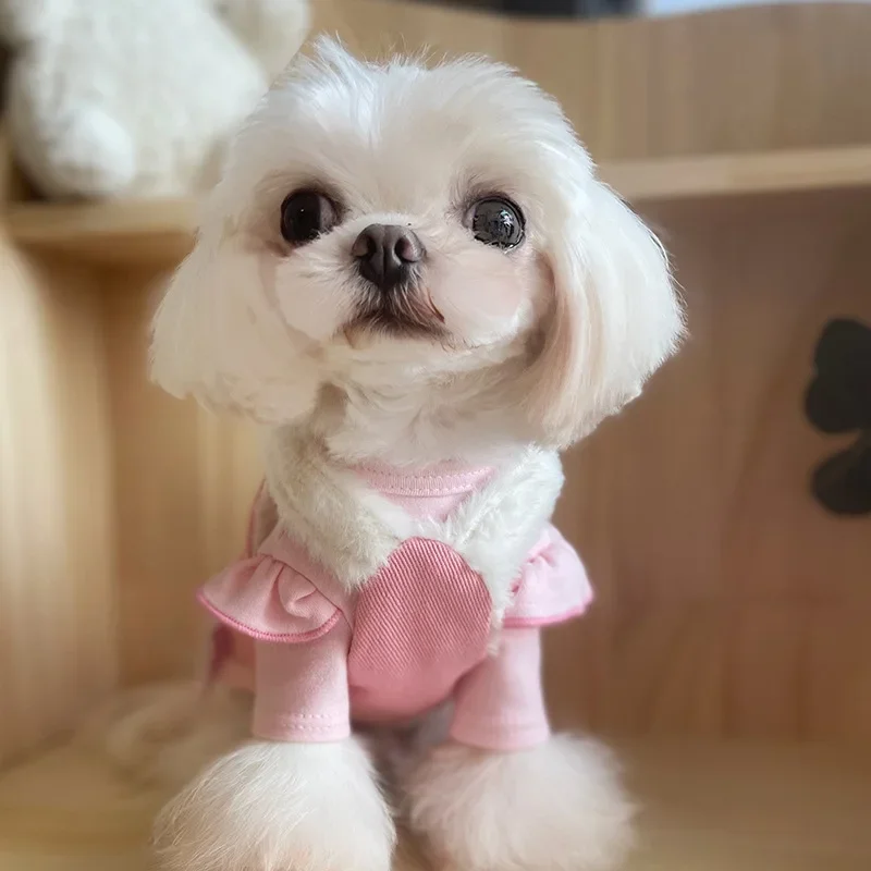 Cute Pet Plush Princess Dress Strap Skirt Dog Little Flying Sleeves Base Puppy Coat Winter Dog Clothes Ball Skirt Dog Clothing