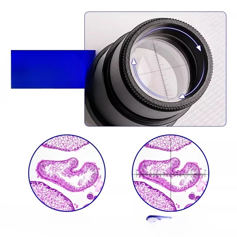 

Microscope eyepiece Wide-angle objective with measuring end micrometer ruler 10 times 25 times accessories high