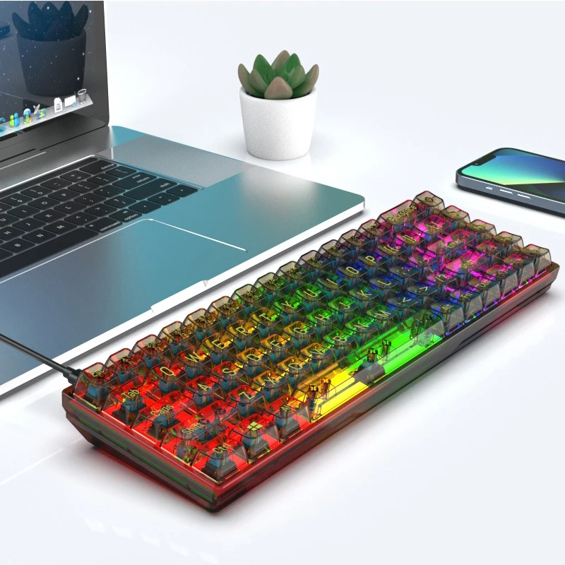 68 Keys Transparent USB Wired Mechanical Keyboard RGB Light Backlight Hot Swapping Red Switch For Laptop PC Desktop Macbook