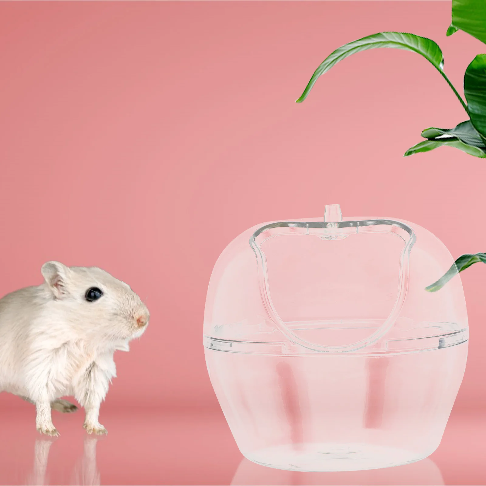 

Pet Bathroom Transparent Plastic Toilet for Chinchillas Hamster Guinea Pigs Rabbit Supplies Container Sand Bath Box Easy Clean