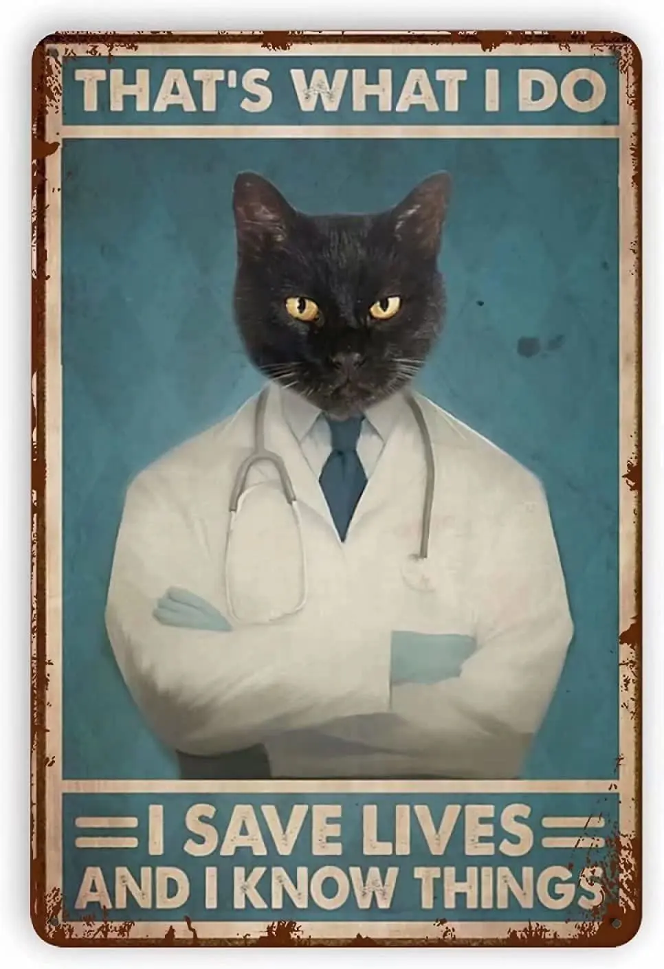 Vintage Metal Tin Sign Black Cat Doctor Metal Tin Sign,That's What I Do I Save Live and I Know Things,Wall Poster Plaque fo sign