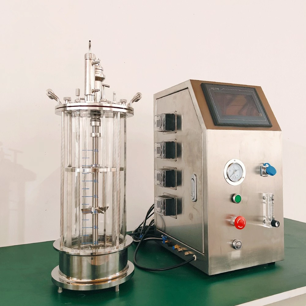 Lanphan Laboratorio Fermentatore di vetro da banco Bioreattore Microbico Bioreattore 5L 10L 15L con controllo della temperatura e del PH