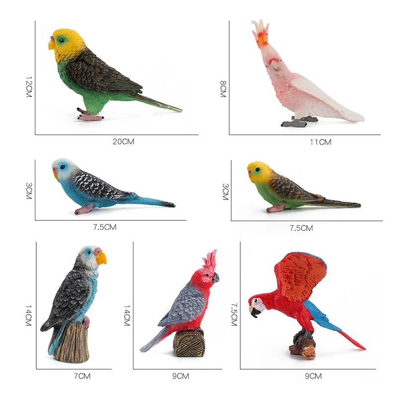 7pcs/set Children's Cognitive Bird Animal Parrot Model Macaw Cockatoo Budgie Birds Acition Figures Toys for Children Kids Gift