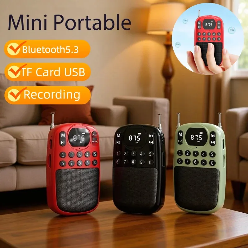 

Портативное мини-радио FM с DSP, перезаряжаемый Bluetooth-динамик, воспроизведение с TF-карты и 3,5-мм разъемом для наушников, функция сохранения настроек при отключении питания