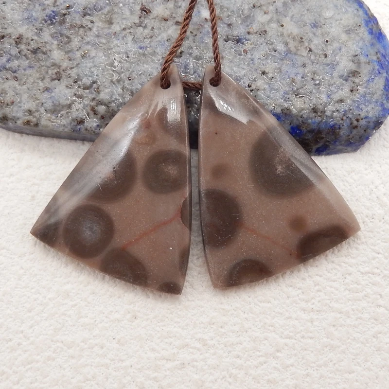 Natural Stone Crinoid Earrings Beads Triangle Semiprecious Fashion Jewelry Earrings Accessories For Women 29x22x4mm 6g