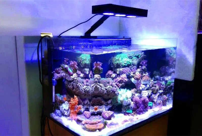 Aquasanrise Full Spectrum Marine reef tank LED light coral grow white blue aquarium fish tank SPS LPS color grow mini nan