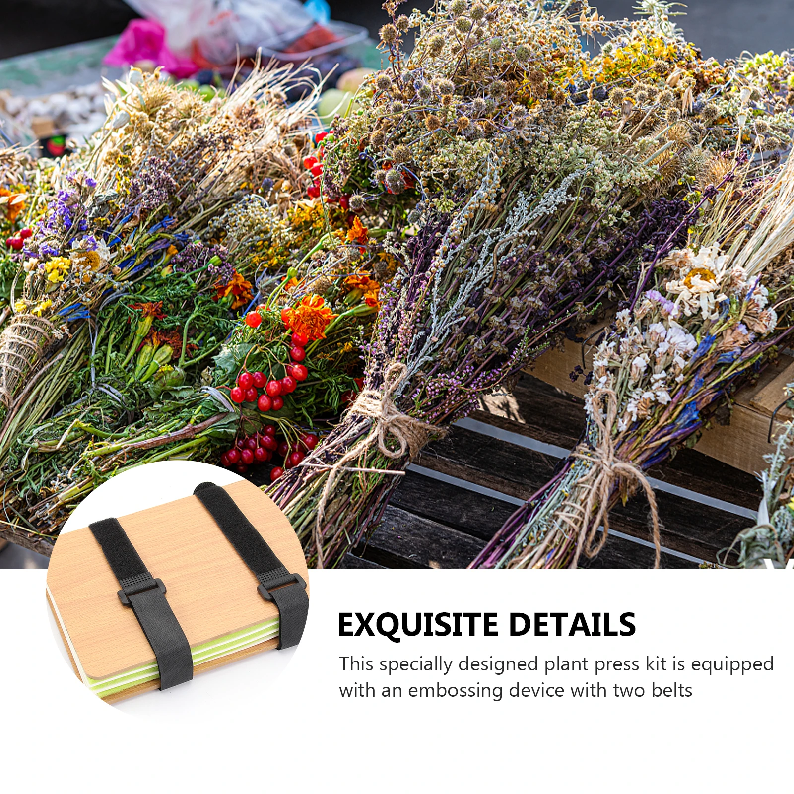 

Flower Press Kit Strong Wooden Plate Drying Sponge Straps Craft Decor Student Tools Plant Specimen Tool Kit Outdoor Activities