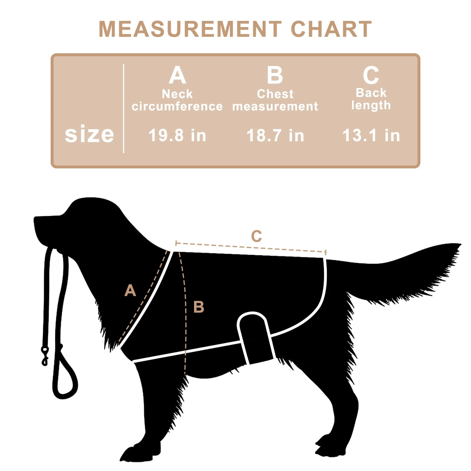 Pet therapy equipment for cats and dogs with back and abdominal injuries, recovery and pain relief