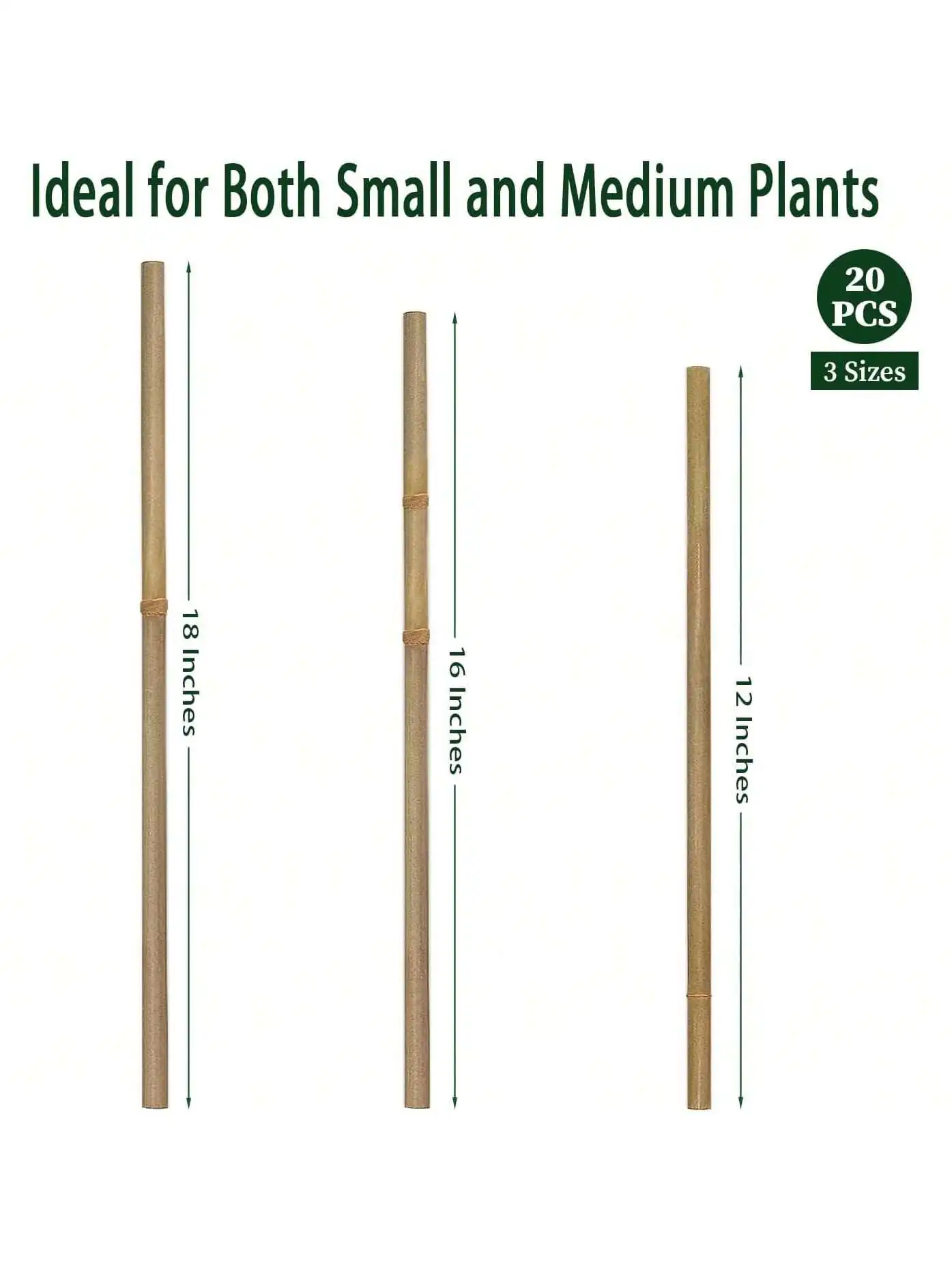 20pcs Bamboo Garden Wooden Stakes Ecological Friendly Bamboo Plants Wooden Stakes, Climbing Plants - Bamboo Sticks