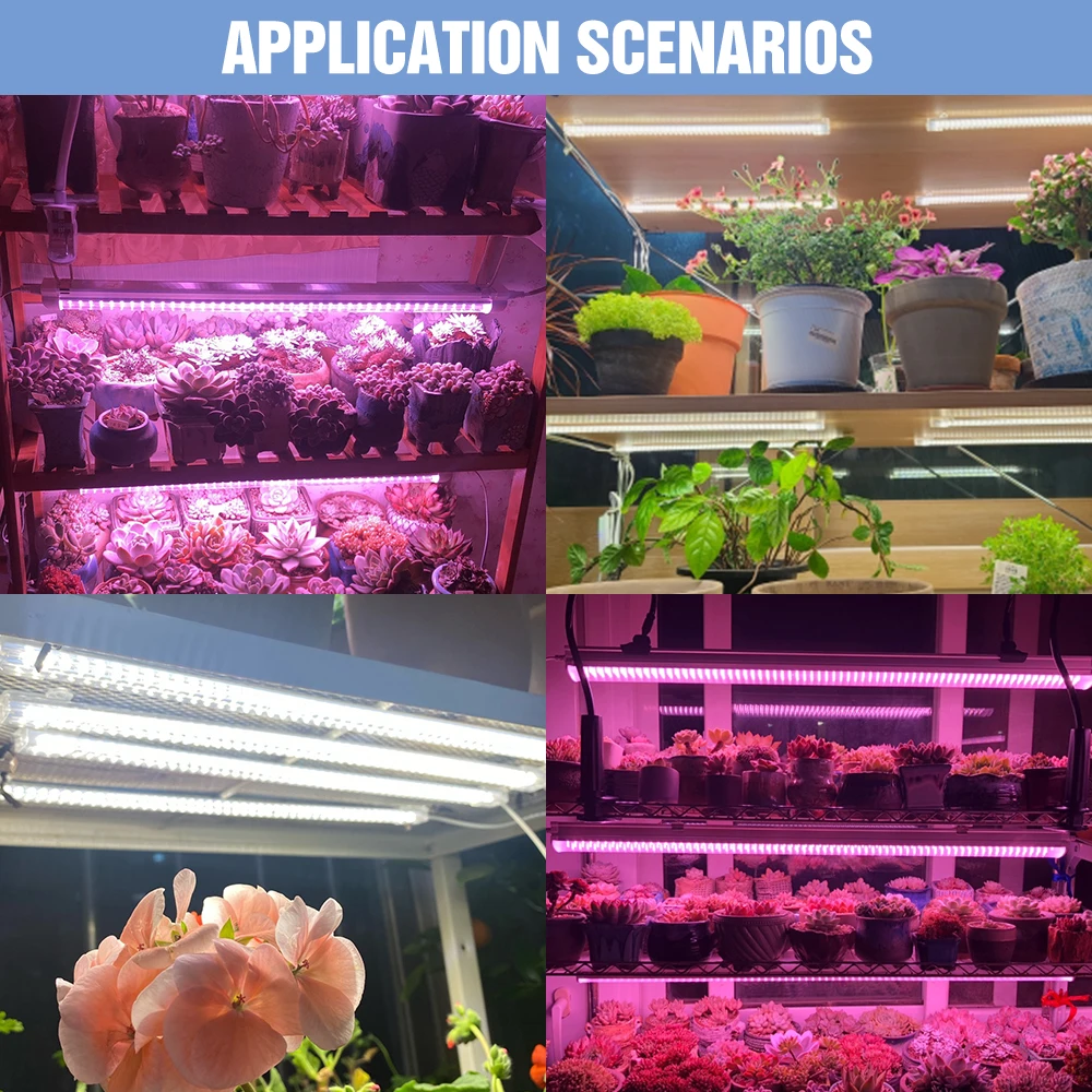 LED Plant Grow Lights Full Spectrum Indoor Hydroponics Cultivation Lamp For Succulent Flower Vegetable Seedlings Growth Box 220V