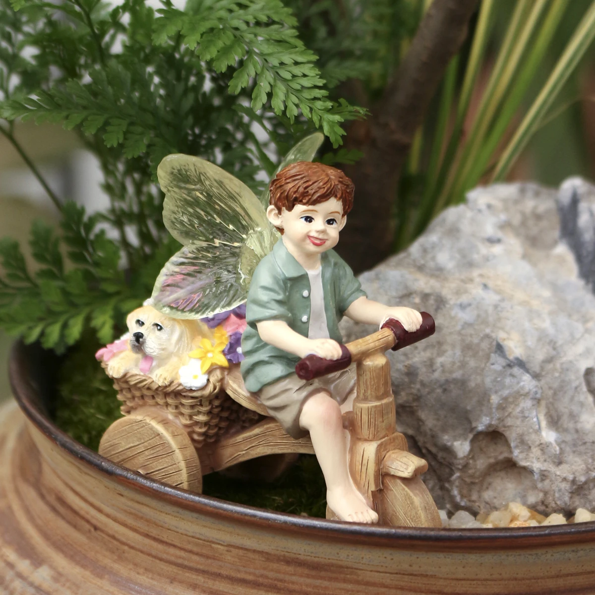 1 Piece of Transparent Winged  - Bonsai Garden World review and price