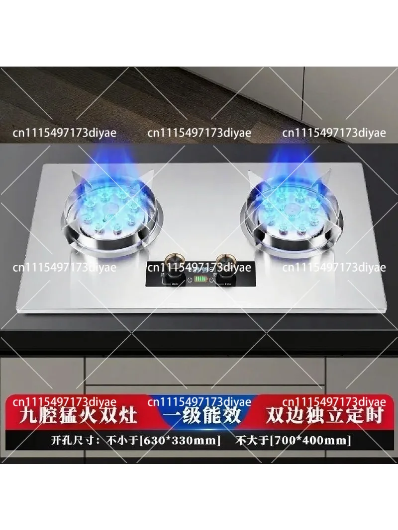 Stainless Steel Double Burner Gas Stove Built In Freestanding Kitchen Cooktop Natural Gas with Timer