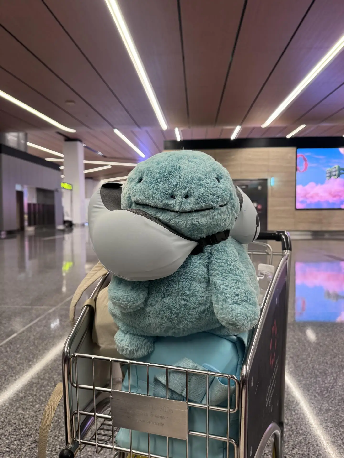35/50/70cm Niedliches Taschenelf-Quagsire-Plüschtier, weiches, flauschiges Anime-Stofftier, Kawaii-Plüschkissen, Heim-Sofa-Deko, Geburtstagsgeschenk – Detail 11