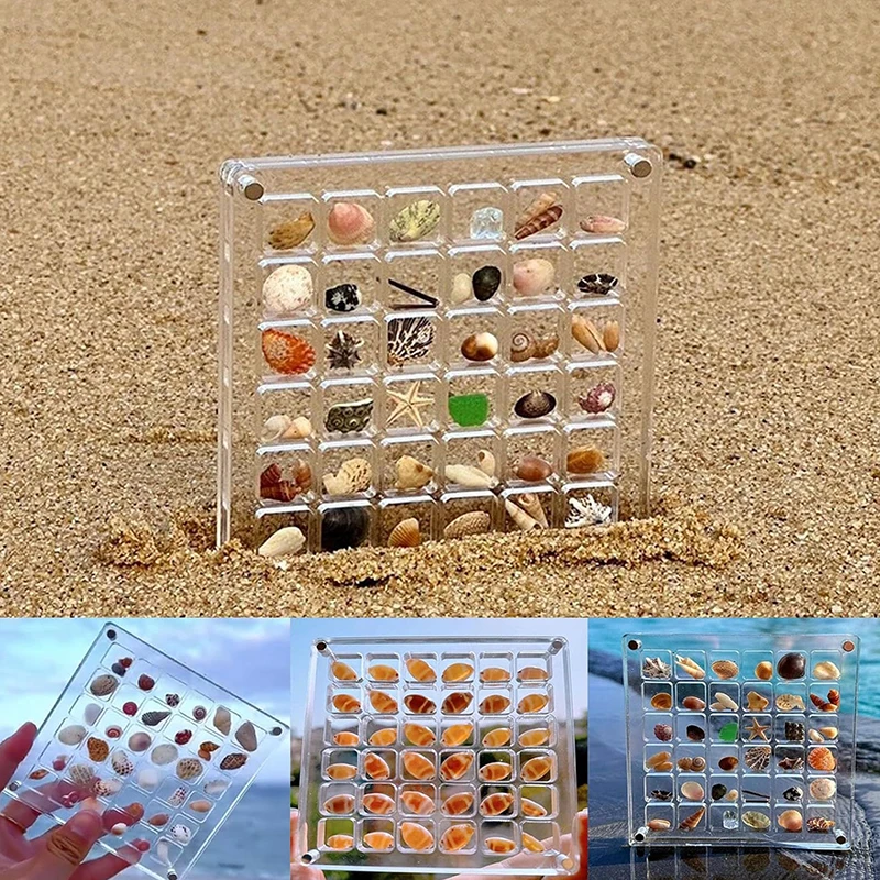 36/64/100 Grids Desk Organizer Acrylic Seashell Display Box with Magnets Starfishs Trinket Storage Case for Bead Nail Jewelry