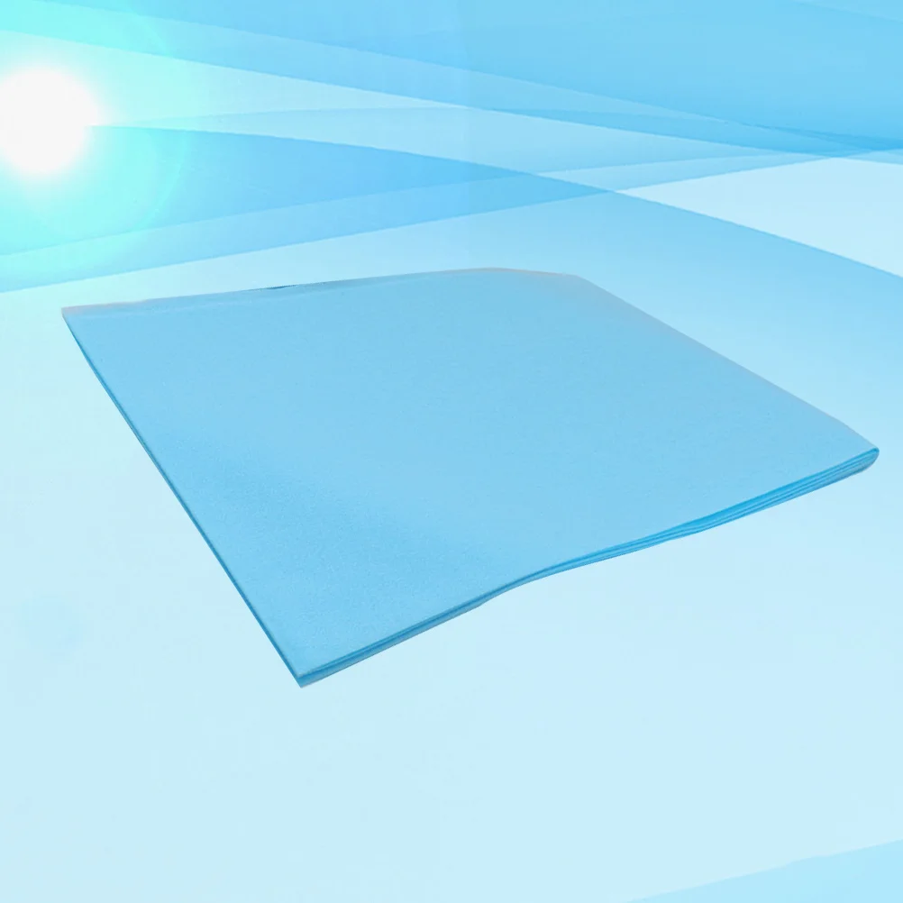 

10Pcs Disposable Bed Sheet Non-Woven Bed Cover Waterproof Beauty Bed Sheet Thicken Sheet for Beauty Shop (Blue)