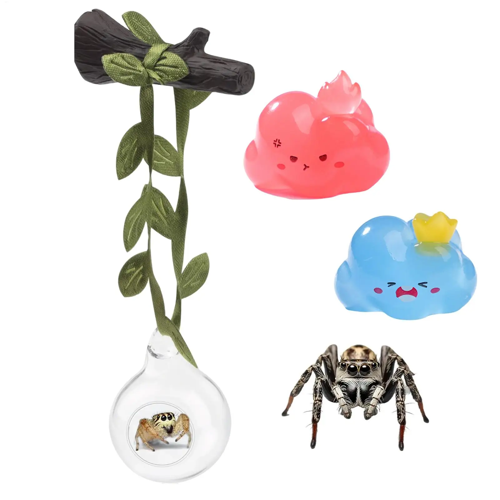 

Декор в виде прыгающего паука, прозрачный шар, окунь, домашнее животное, богомол, корпус, террариум, украшения для наблюдения, рептилий, мелких животных, дома