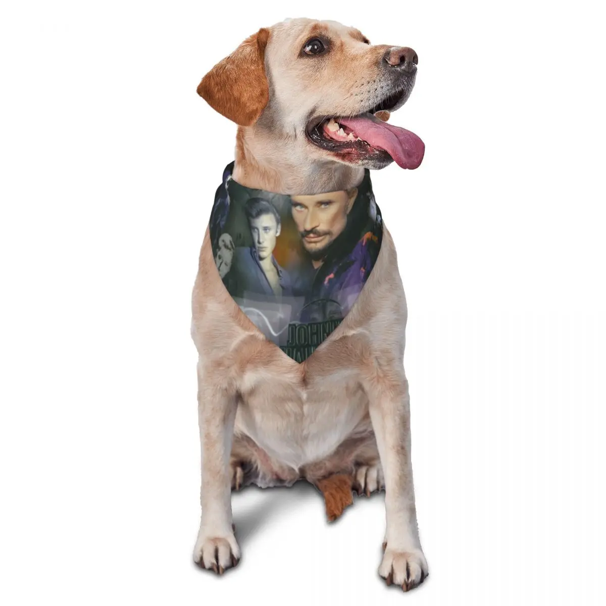 Johnny Hallyday Pet… - image