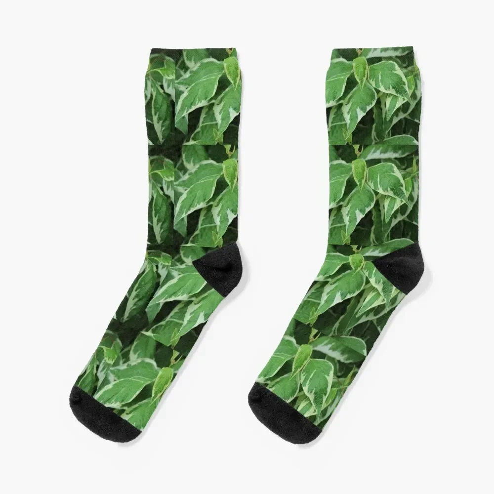 

Hosta Socks funny gifts Thermal man winter Socks Ladies Men's