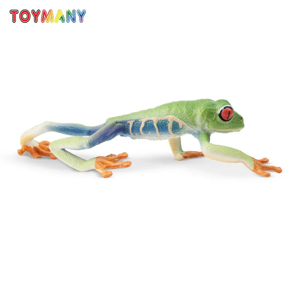 Toymany Simulation Red-eyed Tree Frog Reptile Realm Animal Model Toy Mini Figures Dolls Action Figurines Toys Children Gift