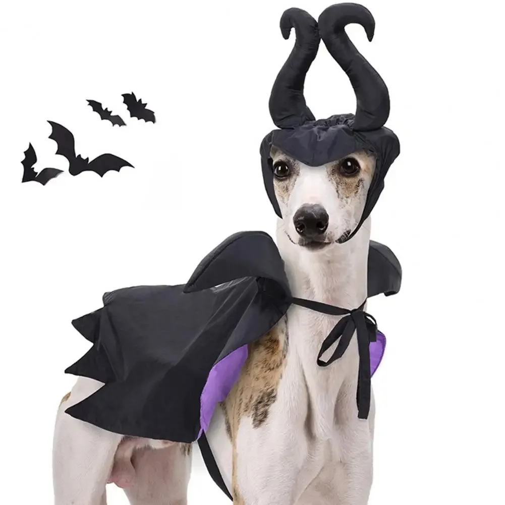 Halloween Pet Witch Costume Adjustable Funny 3D Pet Cloth For Small Large Dog Cat Cosplay Hat Cloak Puppy Halloween Accessories