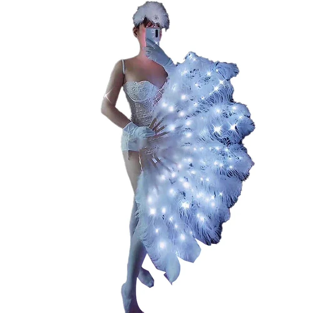 

LED Illuminated Feather Fan Payment Links