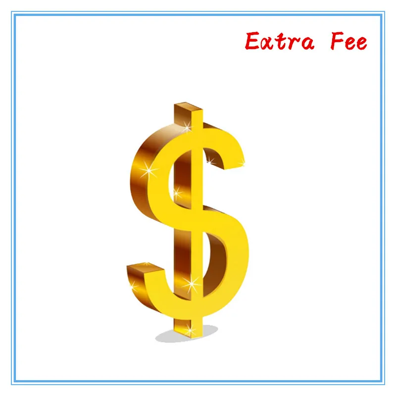 Extra Payment And Custom Accessories image 2