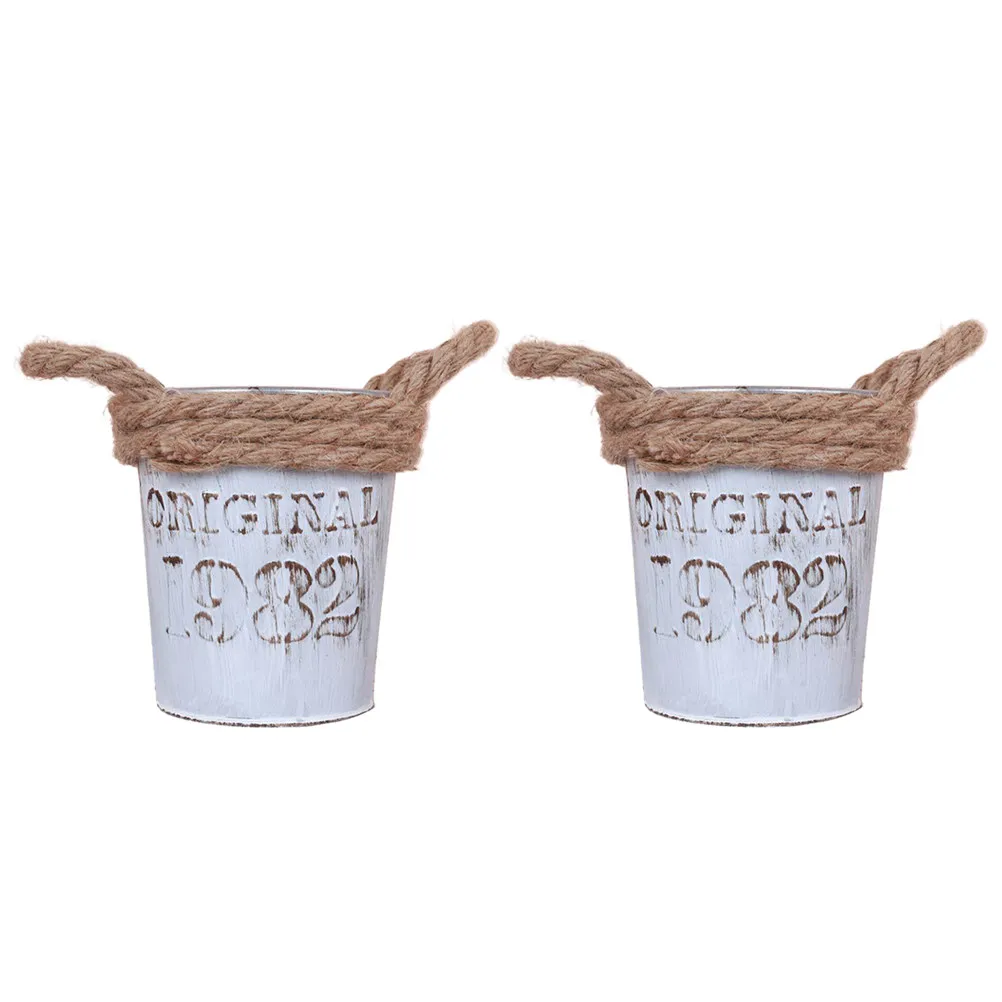 2Pcs Succulent Flow…