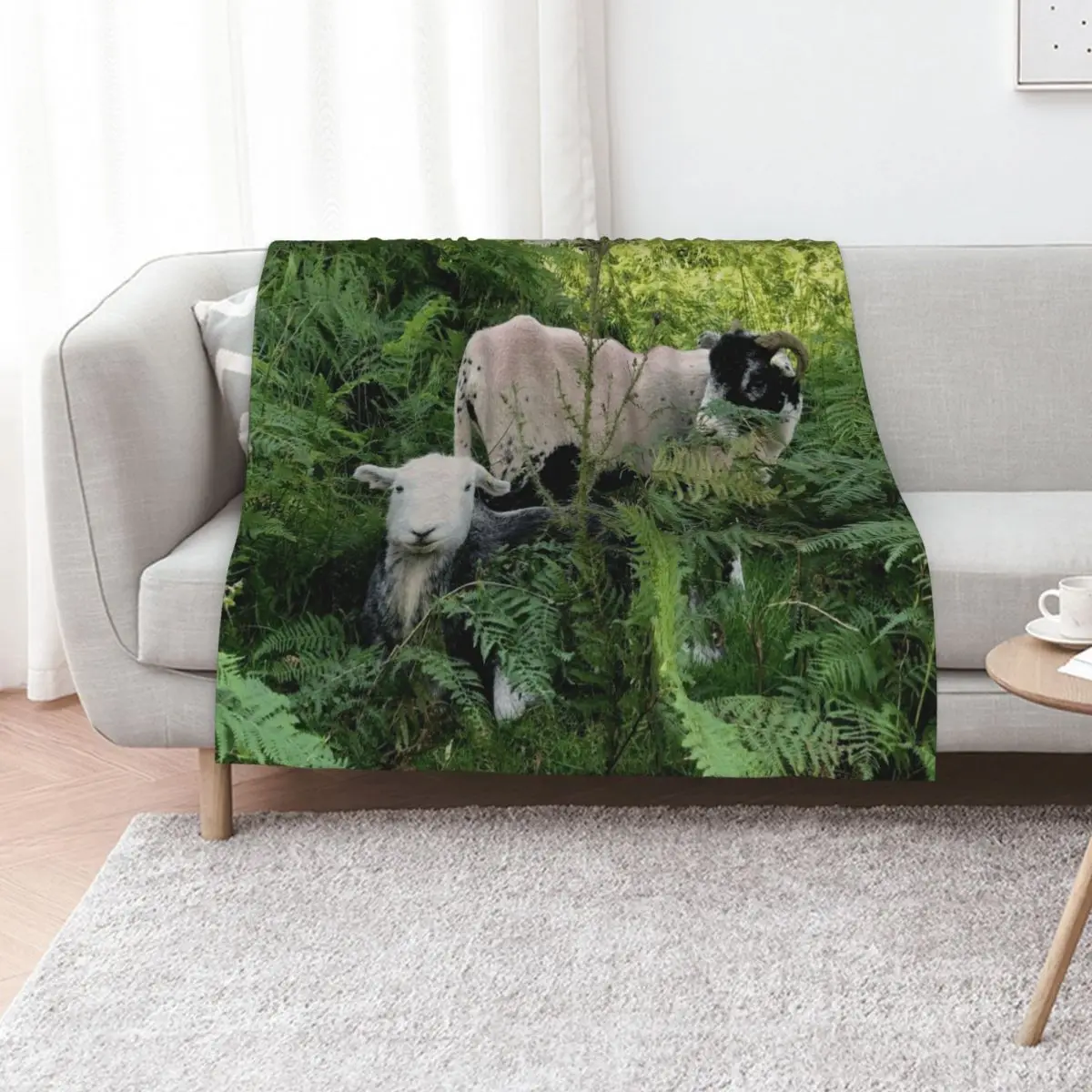 Lake District herdy sheep in laying in ferns Throw Blanket Baby Hairy Sofas Soft Warm Blankets