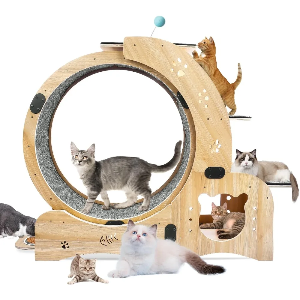 Centro de actividades 5 en 1 con rueda de ejercicio para gatos, gimnasio para gatos con estera lavable a máquina, cama cómoda, tabla para rascar, marco de escalada