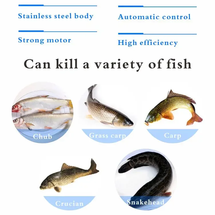 Automatic fish intestine removal, cleaning of internal organs and fouling machine fish processing plant