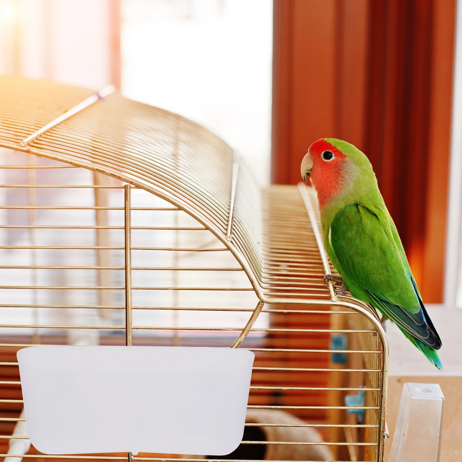 

Pigeon Food Trough Automatic Plastic Feeder Durable Easy Clean Bird Cage Supplies Anti Splash Design Pet Feeding Box Accessories