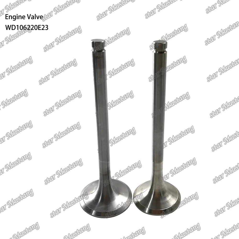 WD106220E23 Engine Valve Suitable For Weichai Engine Parts