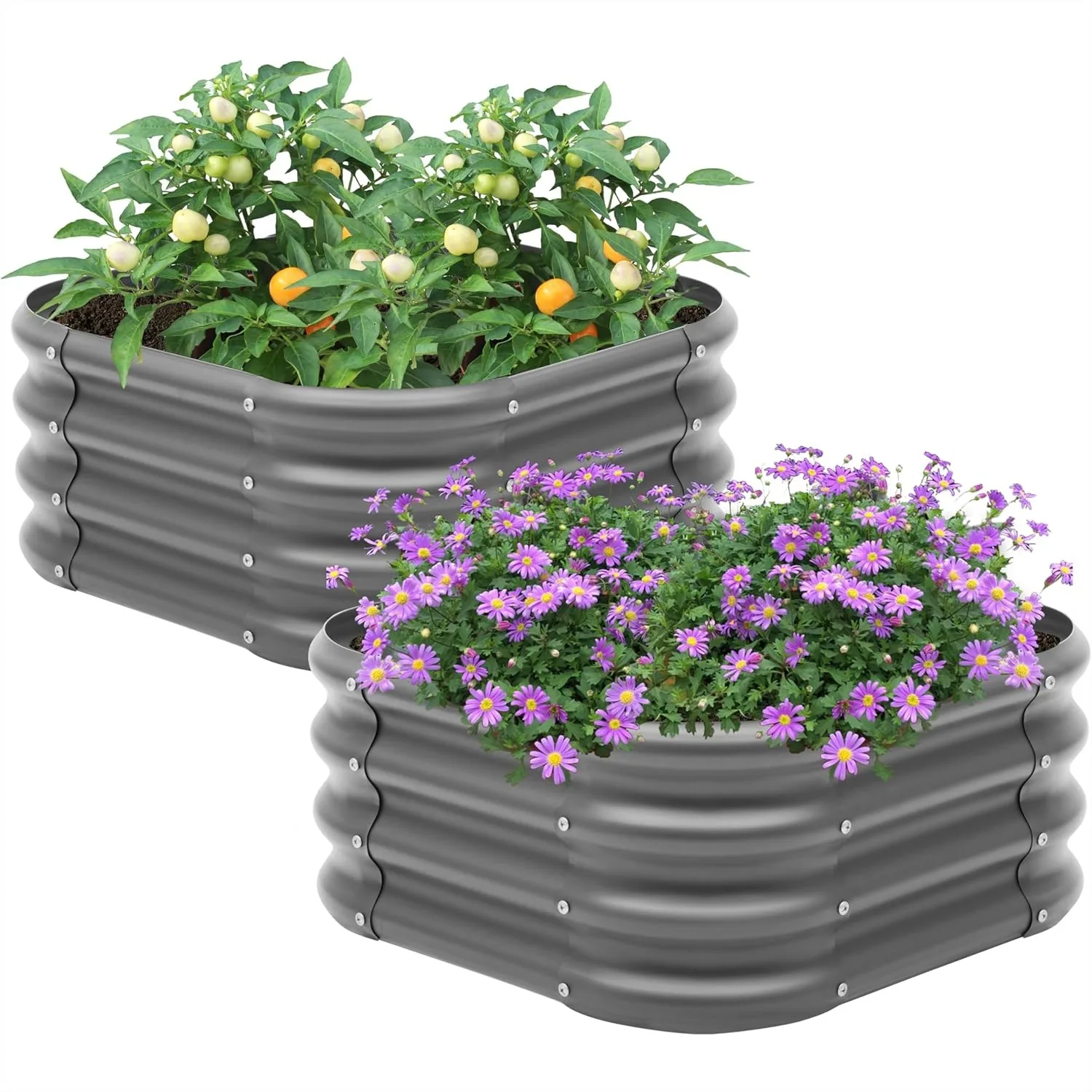 

2-Pack Galvanized Raised Garden Bed, 2x1ft Metal Planter Box for Outdoor Gardening, Dark Grey