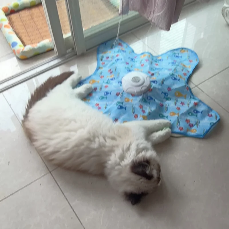 Interactive Cat Toy Hide And S - Cat Tunnel Toy 评论和价格