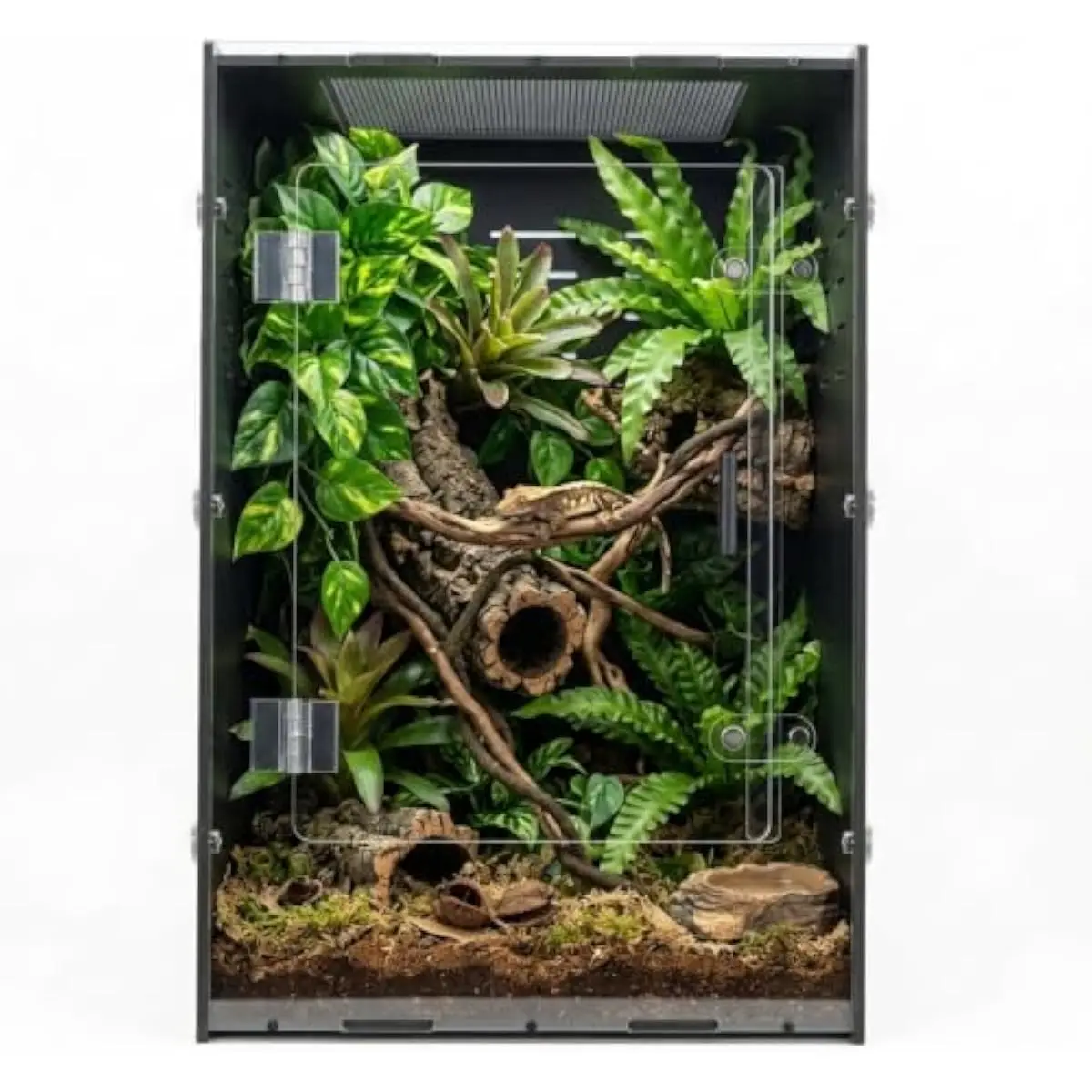 Spacious 25-gallon vertical terrarium measuring 16x16x24 inches for arboreal reptiles; lightweight PVC build with triple-black s