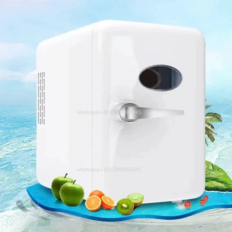 12V/110V/220V Mini Multifunction Refrigerator Cosmetics Mask Beverage Makeup Dormitory Freshness for Car Home