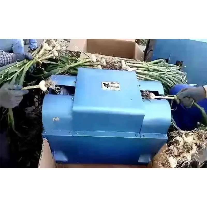 Fresh Garlic Root Conclave Cutting Machine, Garlic Root and Beard Cutter, Garlic Shoots Machine