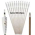 Spine 400 24pcs