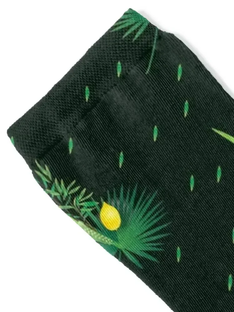 Sukkot Lulav and Etrog Four Species Pattern Socks men cotton high quality hip hop loose Men Socks Women's