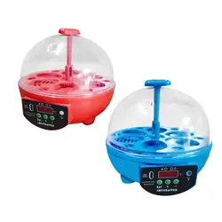 6 Eggs Incubator Temperature Control with Light Manual Egg Turner Chicken