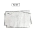 10PCS